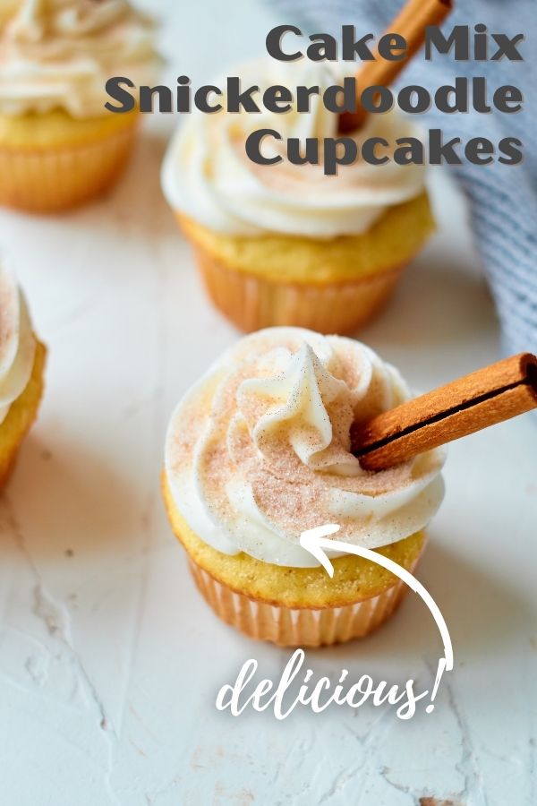 Cake Mix Snickerdoodle Cupcakes | Cake Mix Recipes