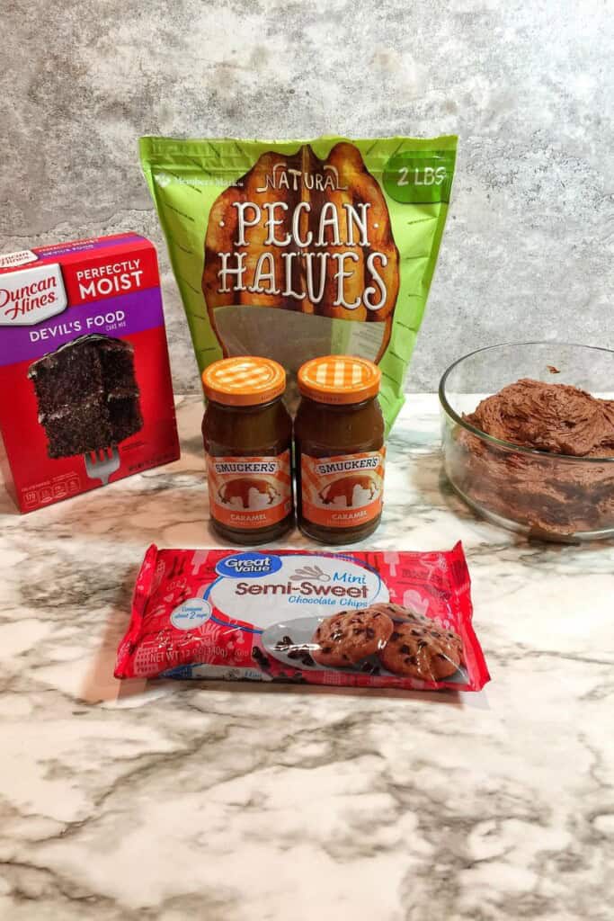 Cake mix, and the ingredients need to make the delicious poke cake.