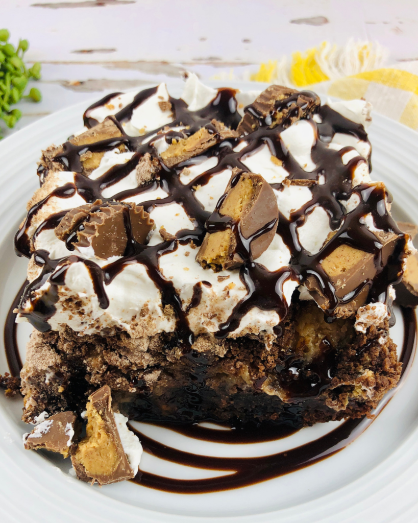 Chocolate Peanut Butter Cake on a plate drizzled with chocolate syrup.
