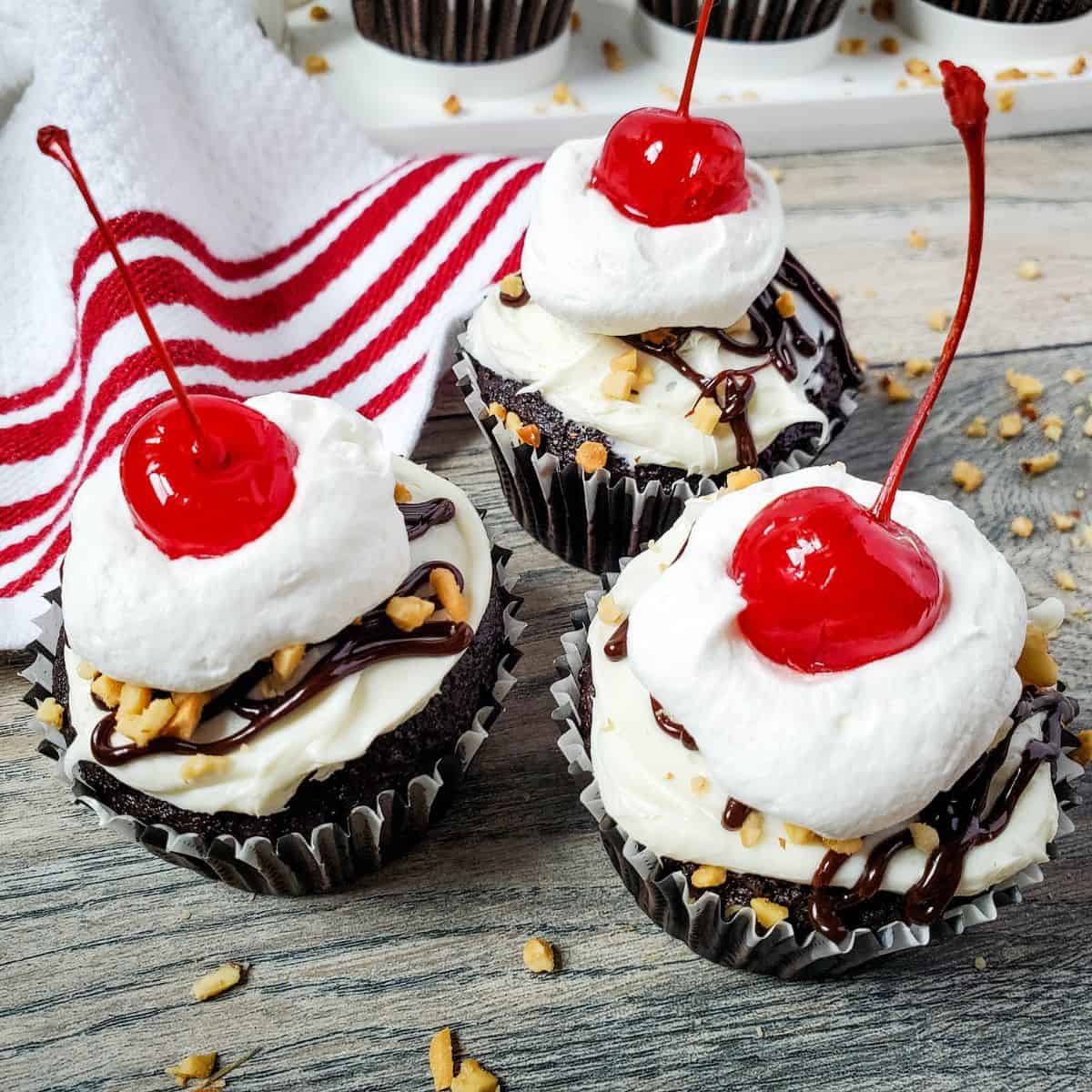 Three hot fudge cupcakes.