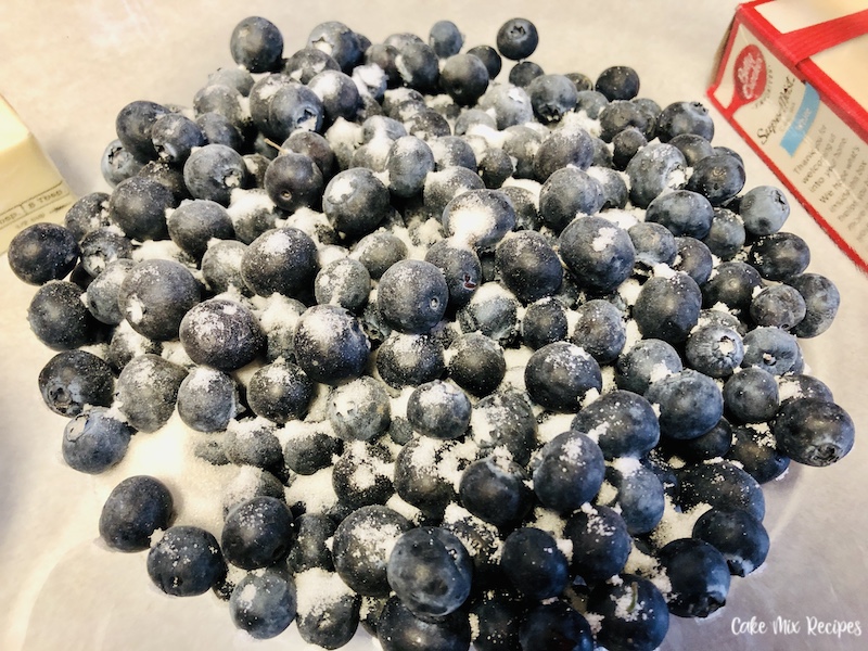 Blueberries in the bottom of the baking pan ready to be topped with cake mix. 
