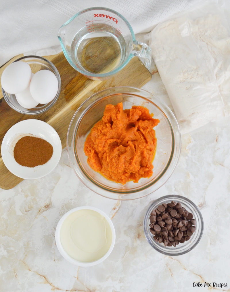 Ingredients needed to make pumpkin chocolate chip cake. 