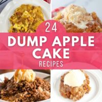 an assortment of dump apple cake recipes