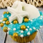 An adorable beach cupcake with sea shells.