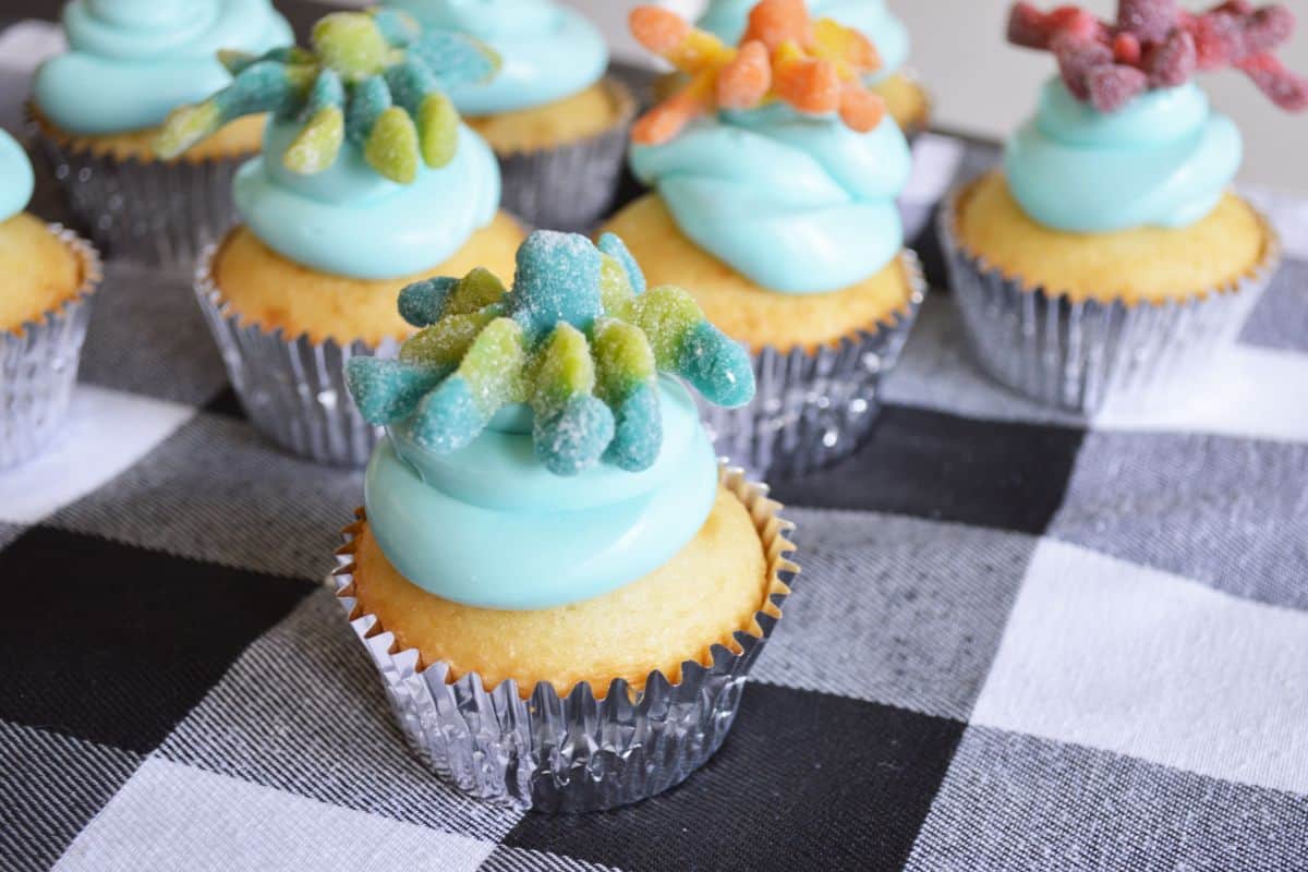 A tray of octopus cupcakes.