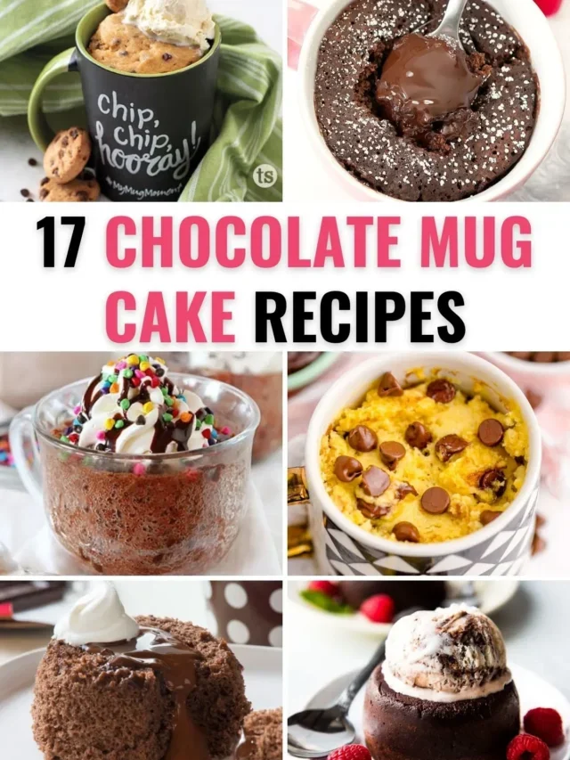 Delicious Chocolate Mug Cake from Cake Mix Recipes