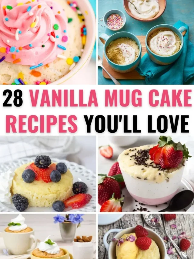 28 Vanilla Mug Cake Recipes