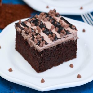 baileys chocolate poke cake with chocolate chips on top