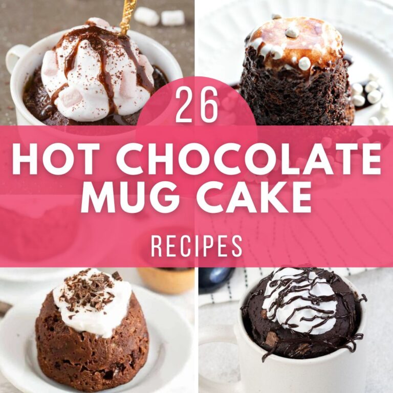 26 Hot Chocolate Mix Mug Cake Recipes
