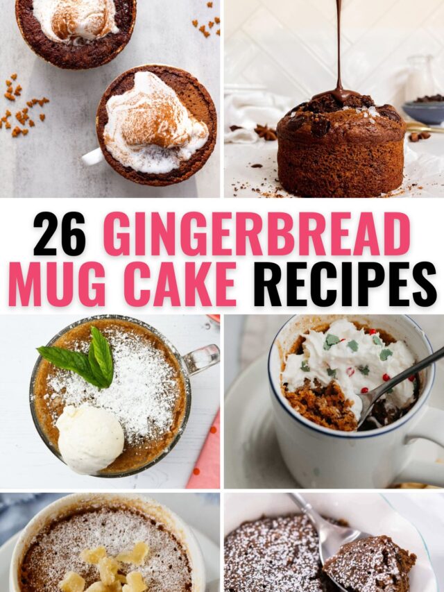 26 Gingerbread Mug Cake Recipes