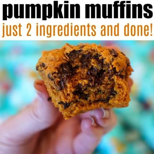 cake mix pumpkin muffins just 2 ingredients and done