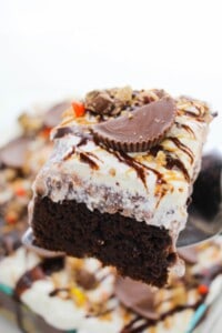 A slice of the peanut butter cake.
