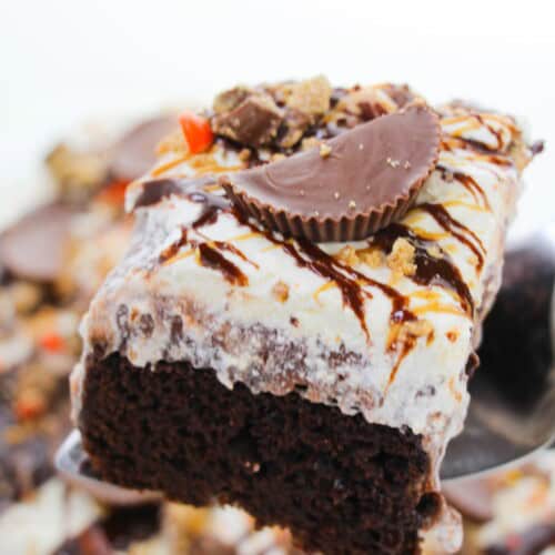 A slice of the peanut butter cake.