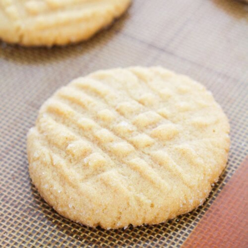 A close up of the peanut butter cookie.