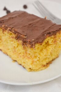 A top shot of the boston cream cake with chocolate chips on the side.