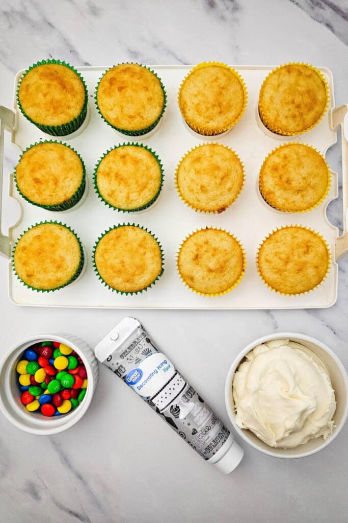 A tray of the cupcakes, candies and icing.